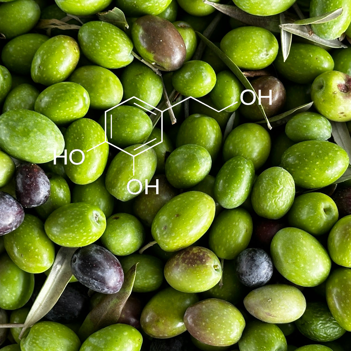 Phenoliva Elixir - Olive Fruit Concentrate
